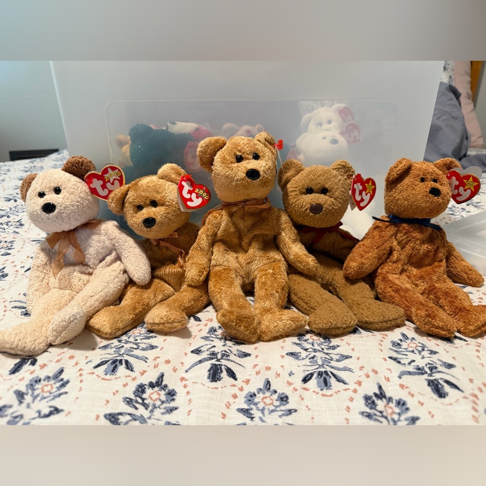 Ty Beanie Babies Bears Collection - Cream and Brown